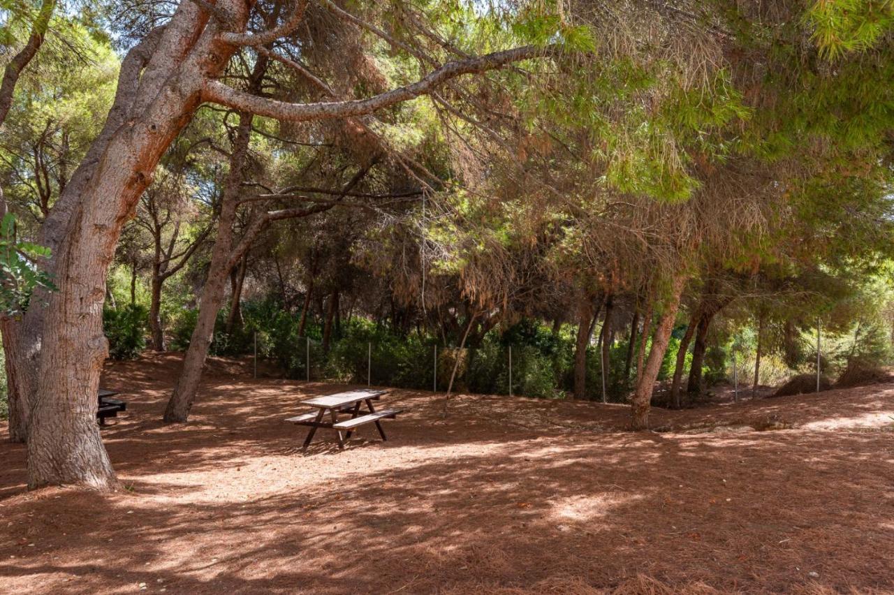 Appartement Apartament Summer à Campoamor Extérieur photo